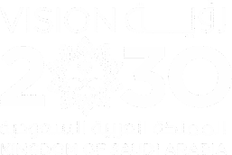 Vision 2030